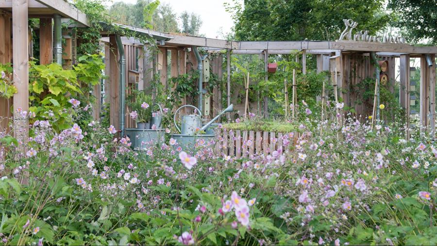 Tendances jardin 2023: la nature prend le dessus