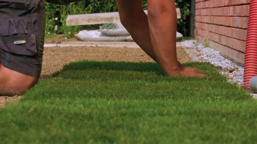 Comment poser du gazon en rouleaux?