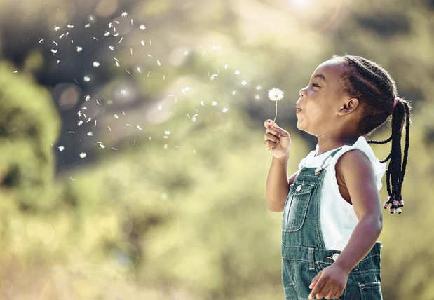 Les allergies aux pollens à l'épreuve du changement climatique 